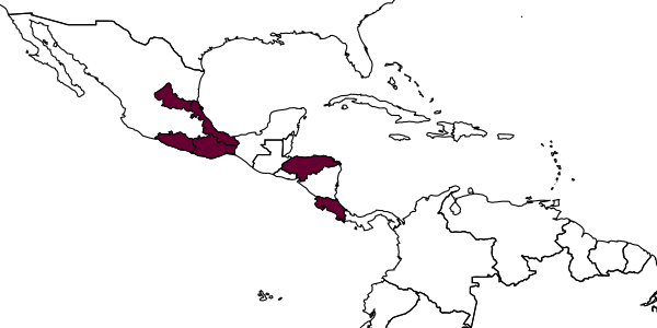 map of Cardiochiles gloriosus     (Mercado, 2003)